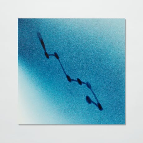 MARIHIKO  HARA + NAO TSUDA〈Stella -Music for Writing Letters-（12インチレコード）〉