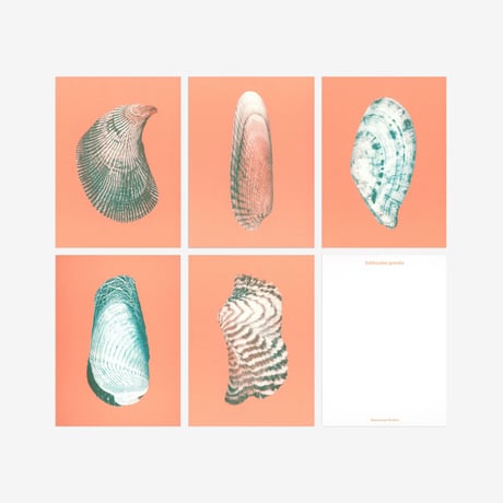 BIENVENUE STUDIOS〈SMALL PRINT COLLECTION_N° 10 PACIFIC SETTLER〉（5PCS）