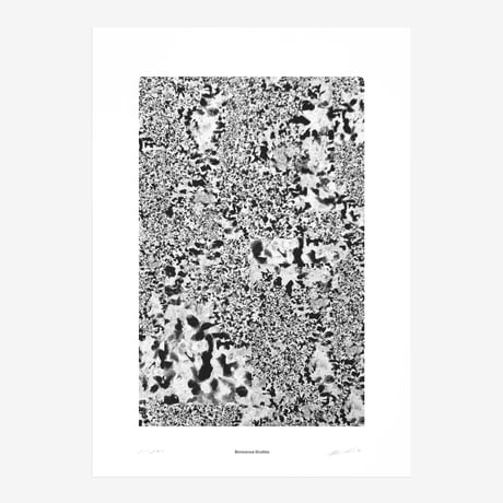 BIENVENUE STUDIOS〈LIMITED PRINTS_BLACK REFLECTION〉（5TYPES）
