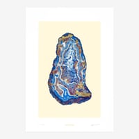 BIENVENUE STUDIOS〈LIMITED PRINTS_MOUNTAIN TREASURES〉（5TYPES）