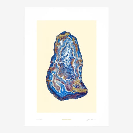BIENVENUE STUDIOS〈LIMITED PRINTS_MOUNTAIN TREASURES〉（5TYPES）
