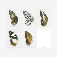 BIENVENUE STUDIOS〈SMALL PRINT COLLECTION_N° 13 SUN FLUTTERING〉（5PCS）