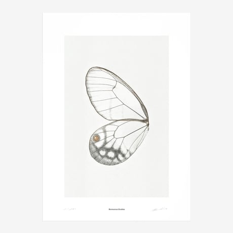 BIENVENUE STUDIOS〈LIMITED PRINTS_SUN FLUTTERING〉（5TYPES）