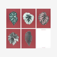 BIENVENUE STUDIOS〈SMALL PRINT COLLECTION_N° 12 LEAVES OF FRIENDSHIP〉（5PCS）