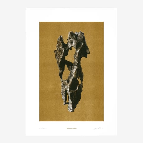 BIENVENUE STUDIOS〈LIMITED PRINTS_VIEWING STONE〉（5TYPES）