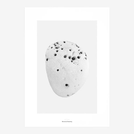 BIENVENUE STUDIOS〈LIMITED PRINTS_PACIFIC MARKS〉（5TYPES）