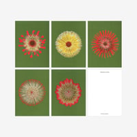 BIENVENUE STUDIOS〈SMALL PRINT COLLECTION_N° 19 FIRE FLOWERS〉（5PCS）