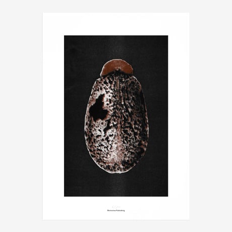 BIENVENUE STUDIOS〈LIMITED PRINTS_ORIGINS〉（5TYPES）