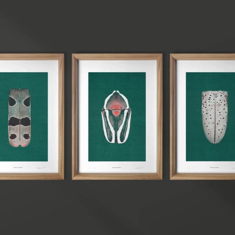 BIENVENUE STUDIOS〈LIMITED PRINTS_IRIDESCENCE〉（5TYPES）