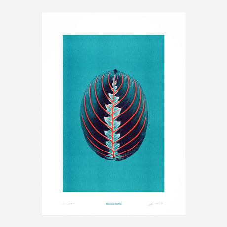 BIENVENUE STUDIOS〈LIMITED PRINTS_PRAYING HANDS〉（5TYPES）