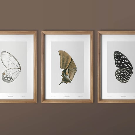 BIENVENUE STUDIOS〈LIMITED PRINTS_SUN FLUTTERING〉（5TYPES）