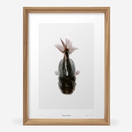 BIENVENUE STUDIOS〈WOOD FRAME_A3〉