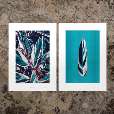 BIENVENUE STUDIOS〈LIMITED PRINTS_PRAYING HANDS〉（5TYPES）