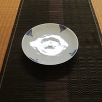 伊万里焼 市川翠子(翠峯) 色鍋島文様椿絵額皿(8寸) | 肥前 伊万里焼 市川翠子(翠峯) 色鍋島文様椿絵額皿(8寸) | 肥前