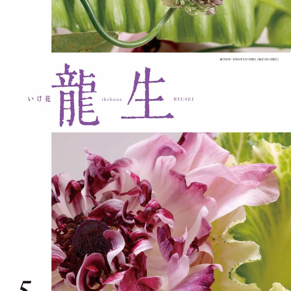 龍生派 家元 華泉好「置月」花器 花入れ箱付き