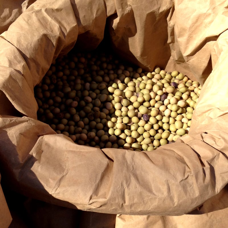 自家製地大豆でつくった香ばし きなこ100g | 合鴨農法のお米「かもまい
