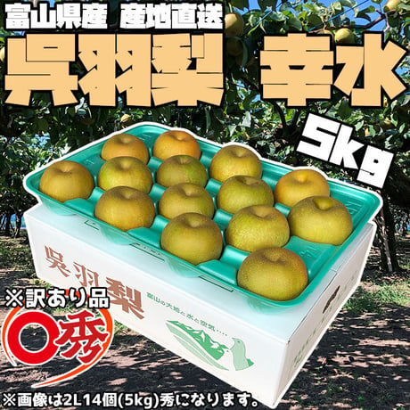 ※条件要確認※【訳あり品】富山県呉羽梨 幸水 5kg箱 〇秀（1段） 【産地直送】