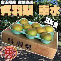 今季終了※ 【訳あり品】富山県呉羽梨 幸水 10kg箱 〇秀（2段