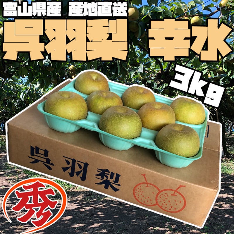 今季終了※ 【産地直送】富山県呉羽梨 幸水 3kg箱 秀（1段） | OZK梨直売店