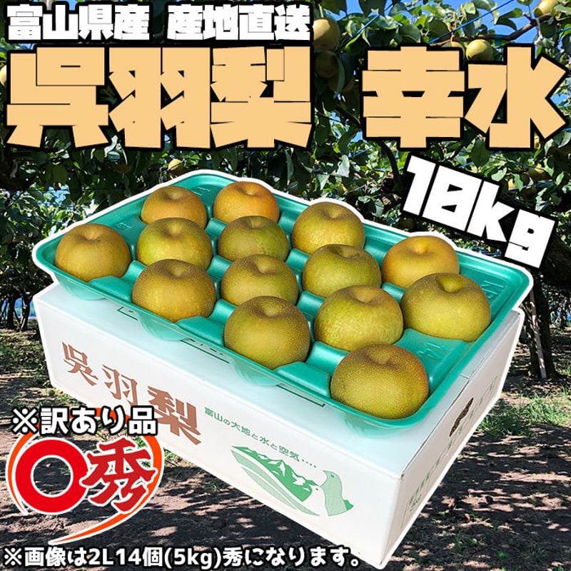 ［最終出品］呉羽梨 幸水 10kg 規格外　064 今季終了※ 【訳あり品】富山県呉羽梨 幸水 10kg箱 〇秀（2段） | OZK梨