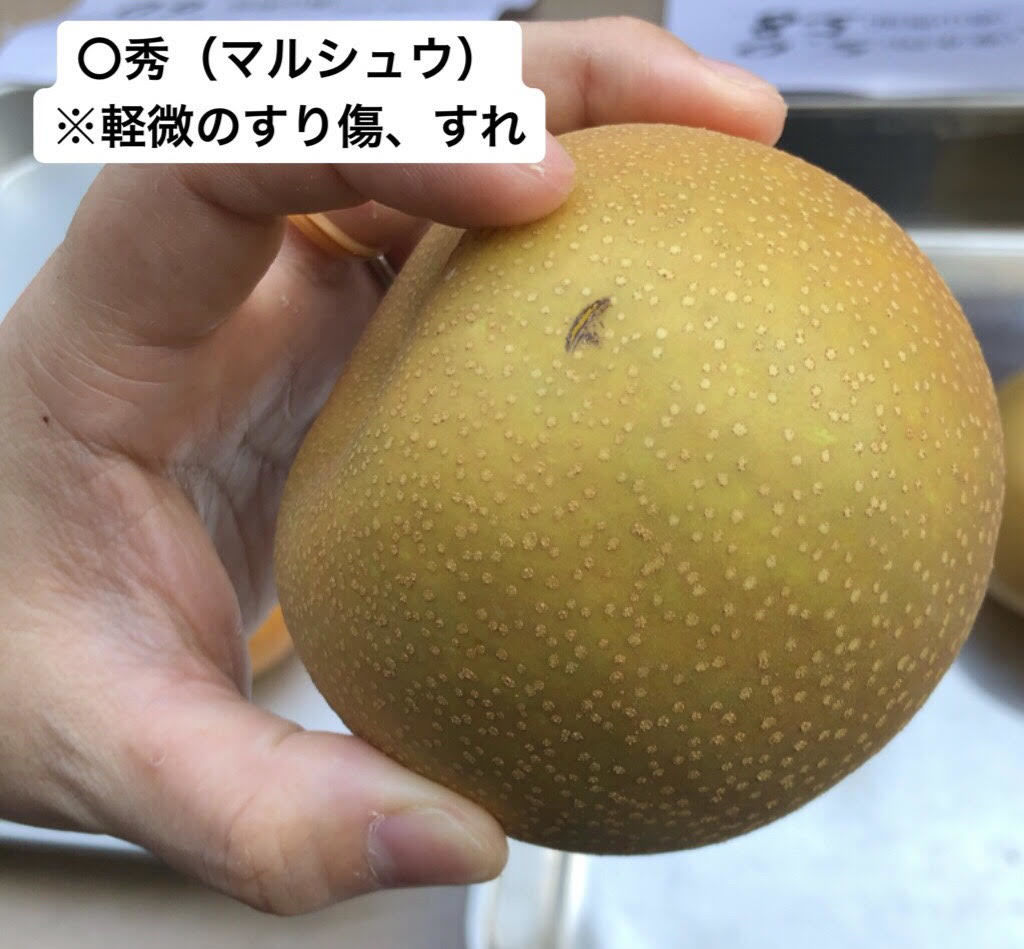 original