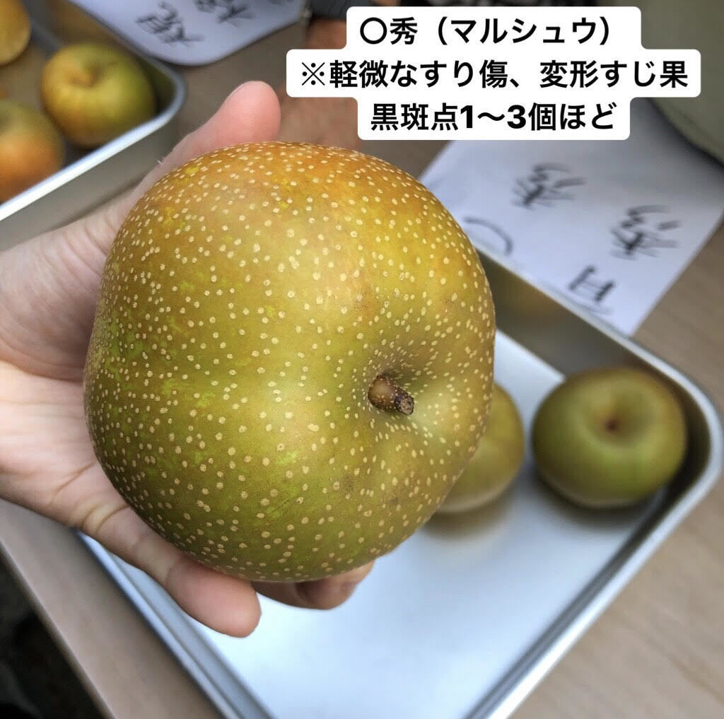 original