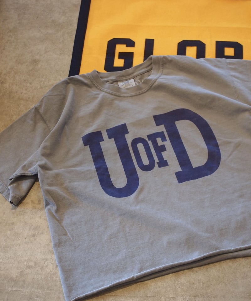 THE DAY ON THE BEACH