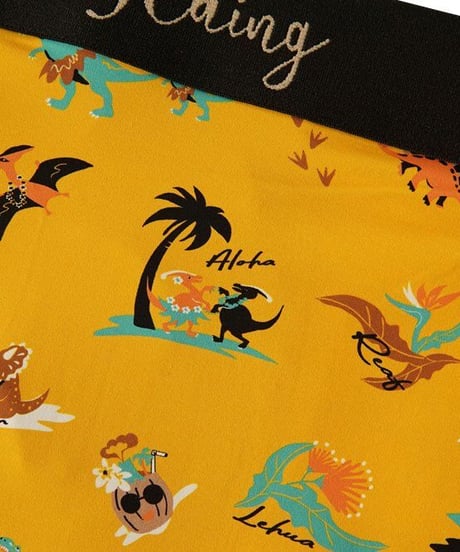 "Seaing"Boxer Pants[DINOSAUR]