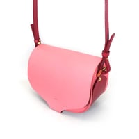 CHASSE BAG ／ PINK & RED