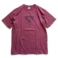 Made in USA / embroidered BRYCE CANYON Tee / Terracotta Pink XL / Used