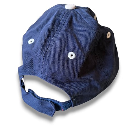 GREAT SMOKY MOUNTAINS Cap / Navy / Used