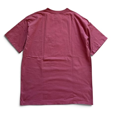 Made in USA / embroidered BRYCE CANYON Tee / Terracotta Pink XL / Used