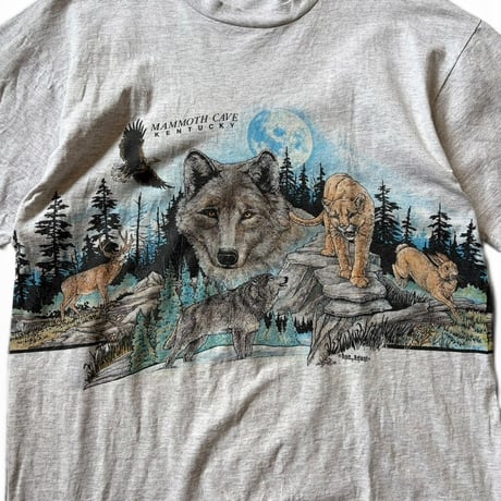 90's Wild Tee / Ash XL / Used