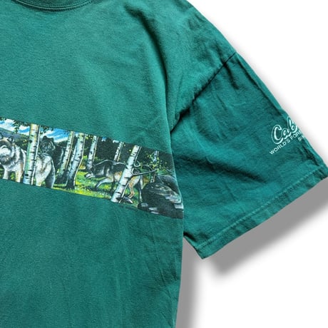 Made in CANADA / Wild Tee / Green XL / Used