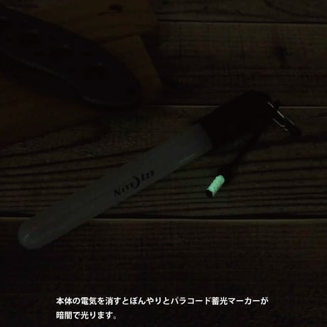 ナイトアイズ レディアント ミニ グロースティック ホワイト LED 電池式 パラコード マーカー付き