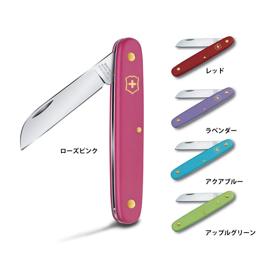 653d2226afae4d00354b50cf