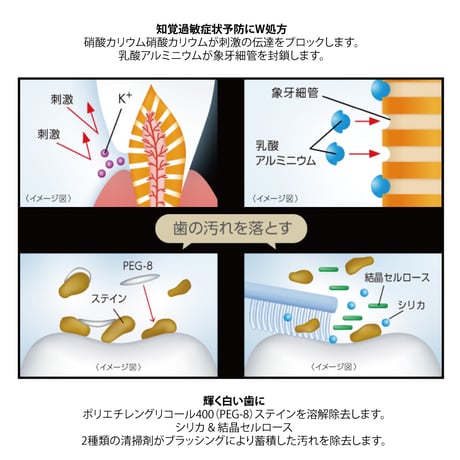 松風 メルサージュ ヒスケア 80g 知覚過敏用 歯科医院専売