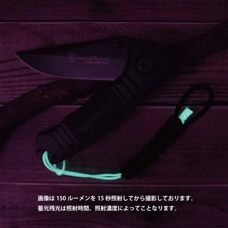 スミス & ウェッソン フォルディング ナイフ SWEX1 パラコード ランヤード 付き