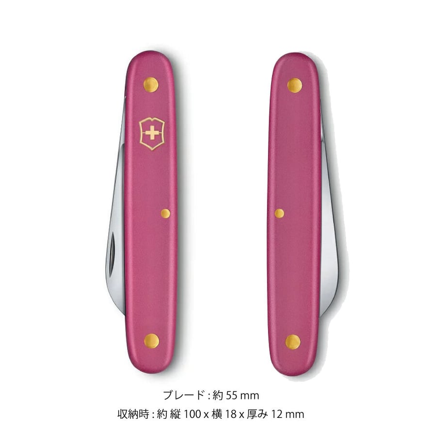 653d2226afae4d00354b50cf
