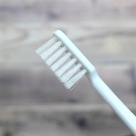 サンスター バトラー B Care 歯科用 歯ブラシ 色は選べません
