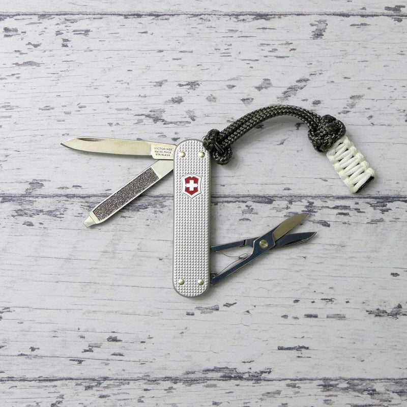 timegear-vo17-victorinox-2.jpg