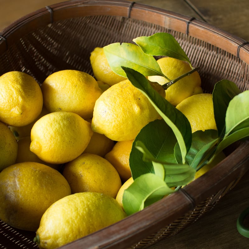 小豆島産レモン 1kg（8〜12個） | HOMEMAKERS Farm & Cafe オンラ