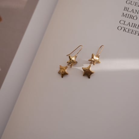 ⭐︎⭐︎ earrings