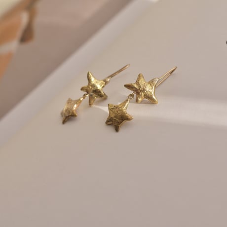 ⭐︎⭐︎ earrings