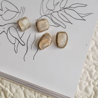 Moon stone dot bezel earrings
