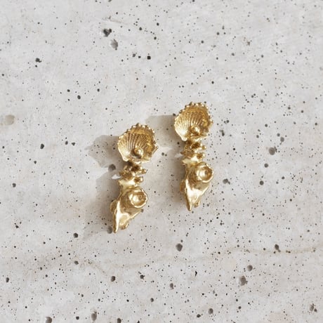 Shells earrings -Gold