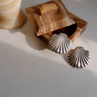 Shell earrings -silver