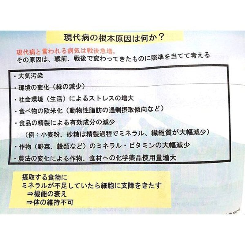 REALケイ素 Z-teraスーパーシリカエナジー ミネラル濃縮溶液
