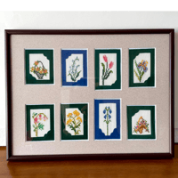 サザンクロス・フラワー刺繍額   (花8種)