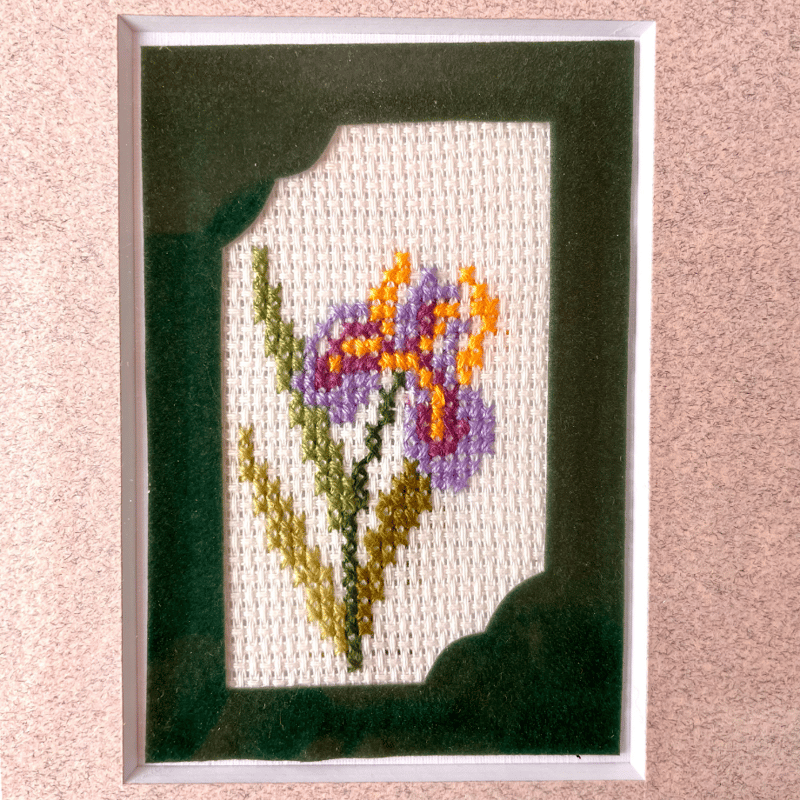 サザンクロス・フラワー刺繍額 (花8種) | パクパクナティン サザンクロス・フラワー刺繍額 (花8種) | パクパクナティン